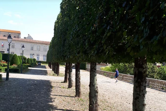 jardin de l'évêché à Castres, entretien espace vert