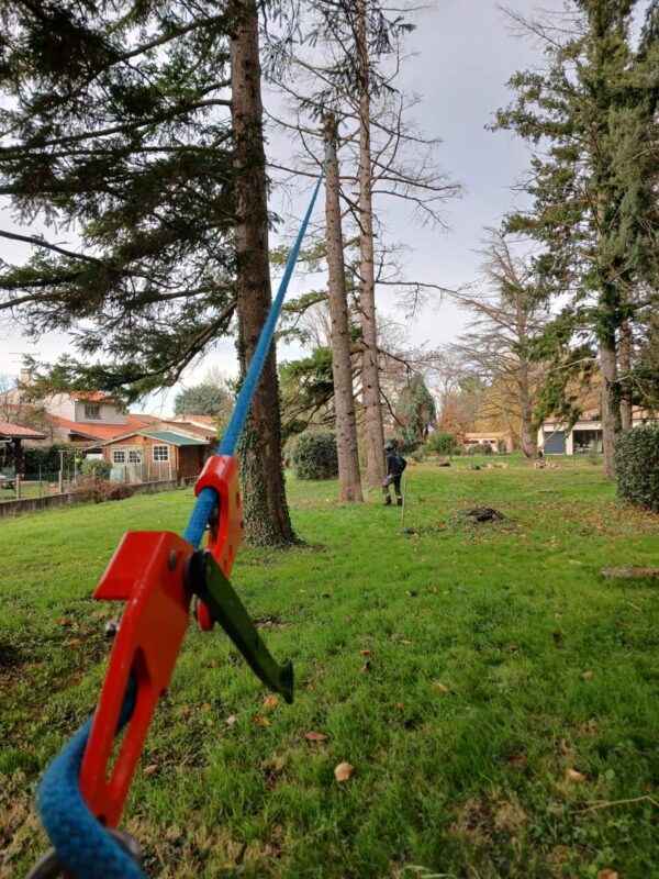 abattage arbres castres